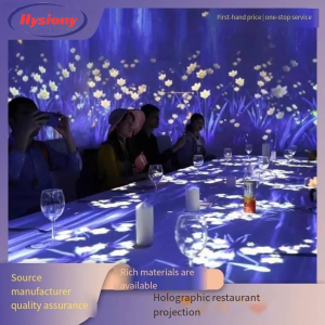 Product name: Customized 3D holographic indoor interactive projector